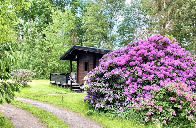 Cozy holiday home on a horse farm in the Lüneburg Heath