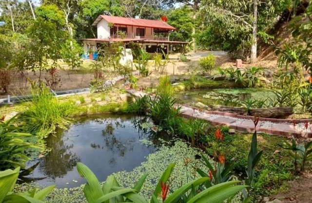 Cozy Home with waterfall near beach