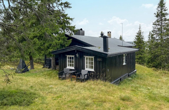 Cozy home in Sjusjøen with sauna