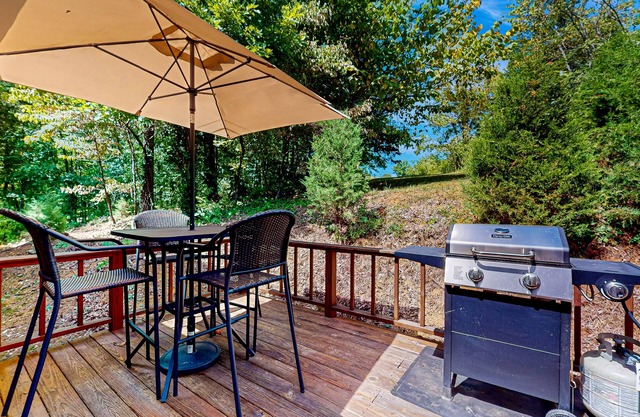 Cozy home w/large yard, games, close to Douglas Lake - free attraction tickets