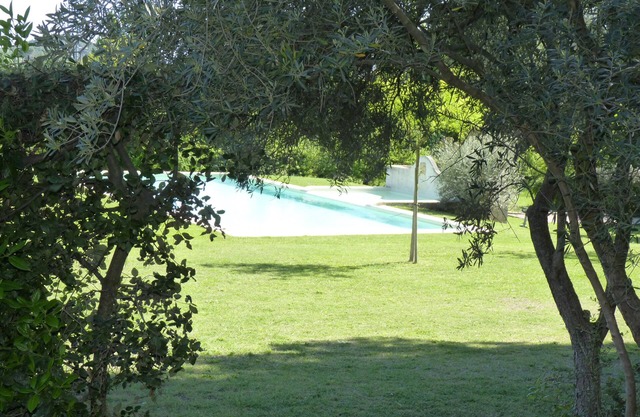 Cozy house in the heart of Provence