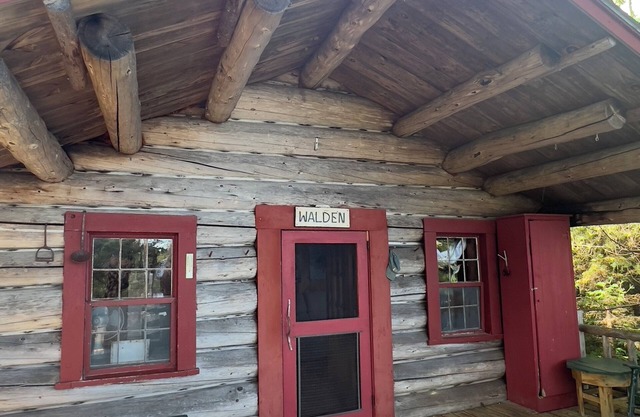 Cozy Lakeside Cabin – Your Private Island Retreat