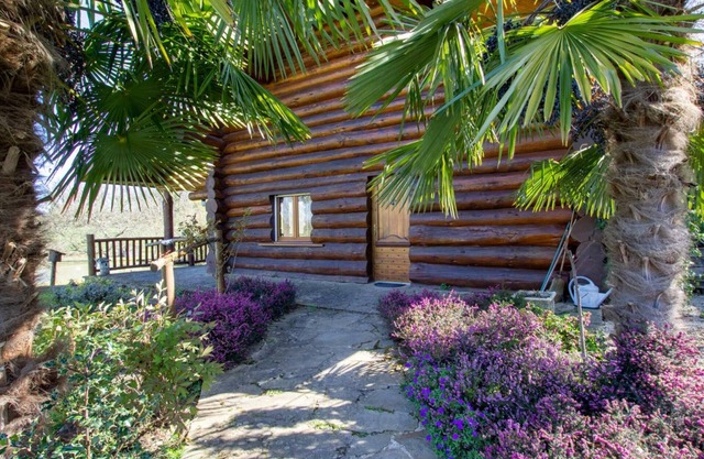 Cozy lakeside log cabin with boat, terrace, and fishing in Périgord Limousin