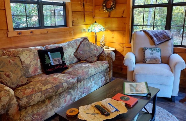 Cozy mountain cabin with amazing views, year round hot tub and pet friendly