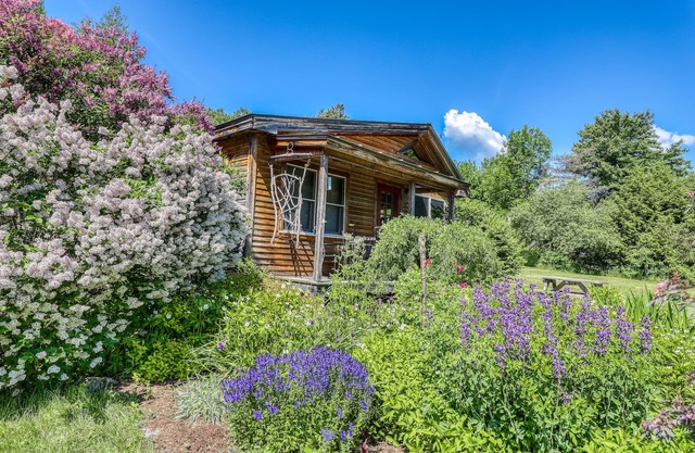 Cozy studio cabin with free WiFi, gas fireplace, and patio