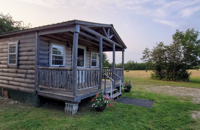 Cozy year round cabin near Acadia and ATV trails, and pet friendly!