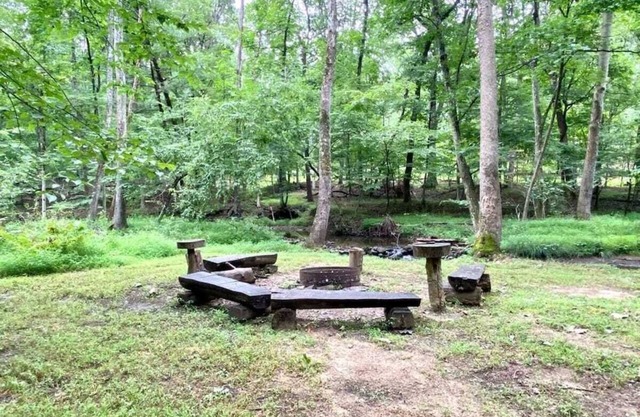 Creek-side Cabin Summ
