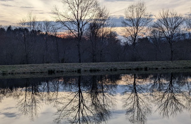 Creekfront! Private ponds for fishing! Mountain views & trails. Pet-friendly