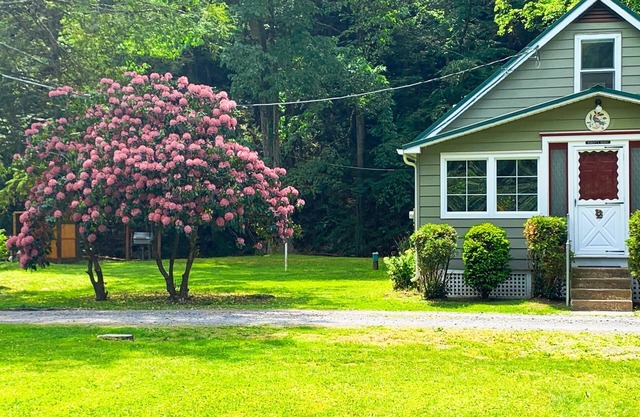 Creekside Cottage Next to Knoebels Amusement Resort. Large Yard, Fire Pit, Patio