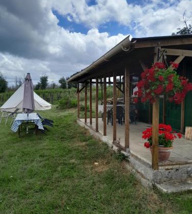 Cuckoo Lake Forest Cabin