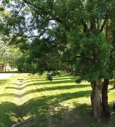 Cute 1-bed cottage with view across park.
