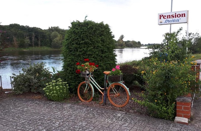 Dachstübchen an der Oder