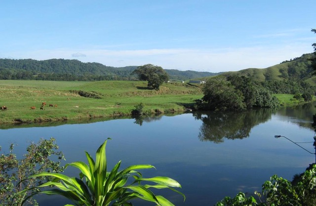 Daintree Riverview Lodges