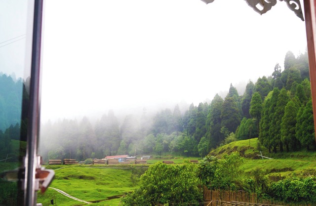 Darjeeling Peaceful Home in Ghoom Pine Forest with Wine & Dine
