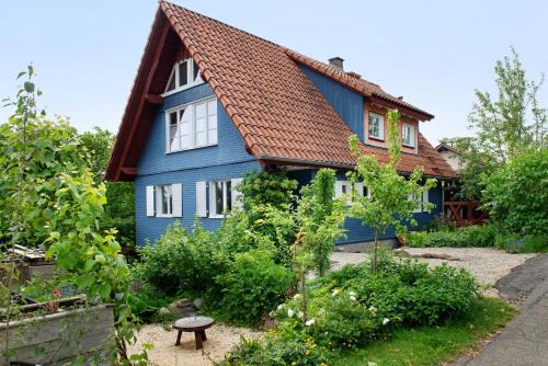 Das blaue Haus