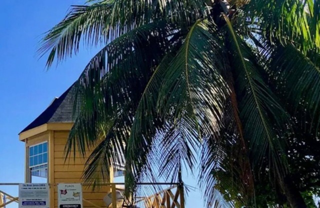 De Loft Studio - Surf, Work, Chill