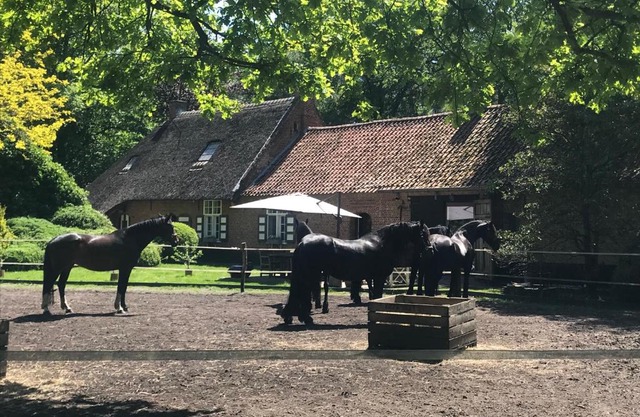 de Swaenhoeve