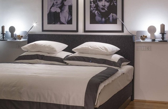 Deluxe Studio with private parking and air conditioning in the historic city of Krems