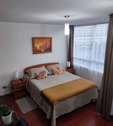 Departamento en centro de Viña del Mar