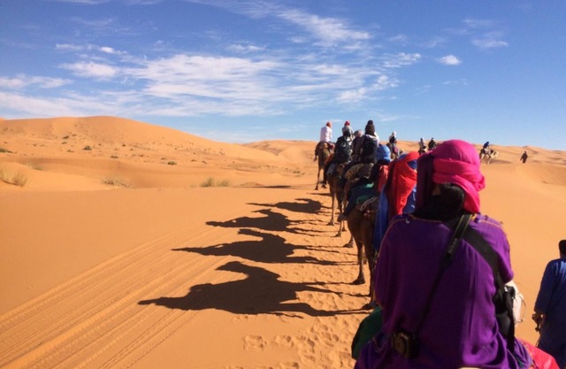Desert Safari Camp