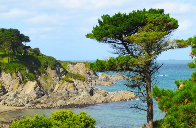 Detached Cottage Overlooking The Sea