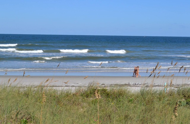 Direct OCEAN FRONT, Super Clean, GREAT REVIEWS, Cozy & Neighborly