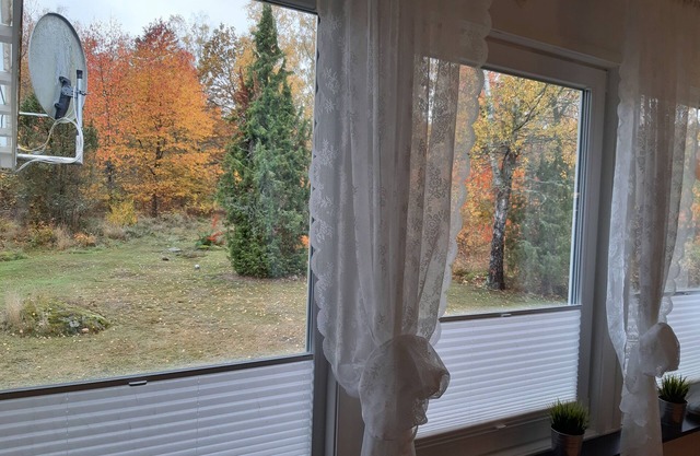 Directly at the forest located spacious holiday home