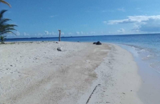 Discovery Gunayar
