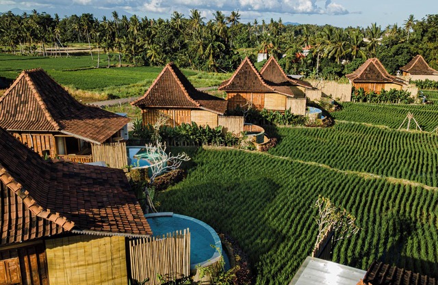 DITUJU Ubud by GenuineHost