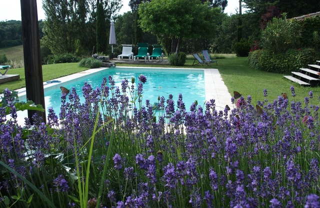 Domaine de la Gazaille