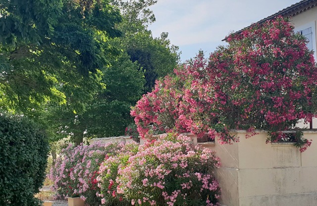 Domaine de la Petite Tour