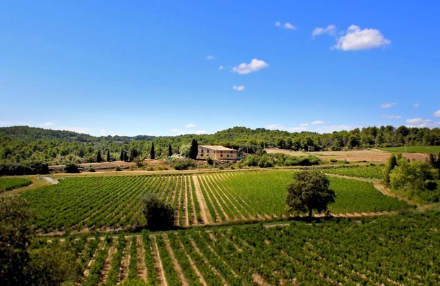 Domaine de Palats