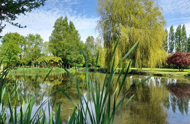 Domaine en Pleine Nature, aux Portes de la Baie de Somme