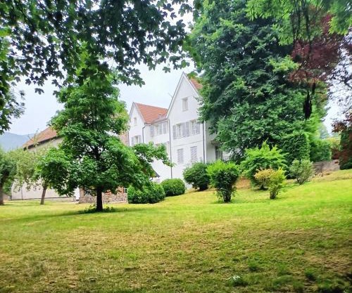 Domaine de la Moselle