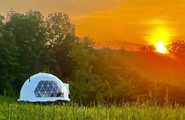 Dome 4 at Come Spring Farm