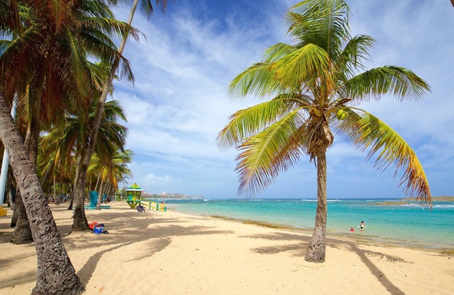 Don Charlie Building