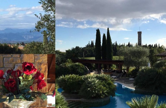 Doremi BB Foresteria