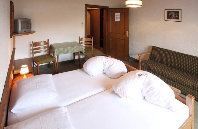 Double room "STANDARD" with shower od. Bathroom, toilet - Bäckerwirt, Inn