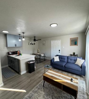 DOWNTOWN DALLAS LUX ABODE 1BD