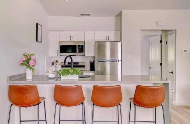 Downtown Oasis: Barton Springs & Zilker Park