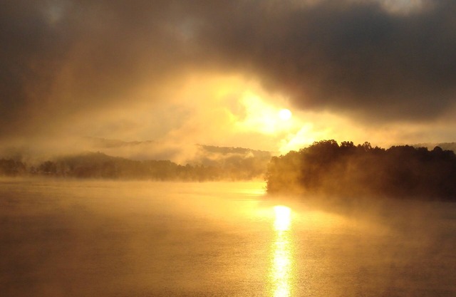 Dream-innnNorris lake Front, Gentle Grade, Breathtaking View, Covered Slip