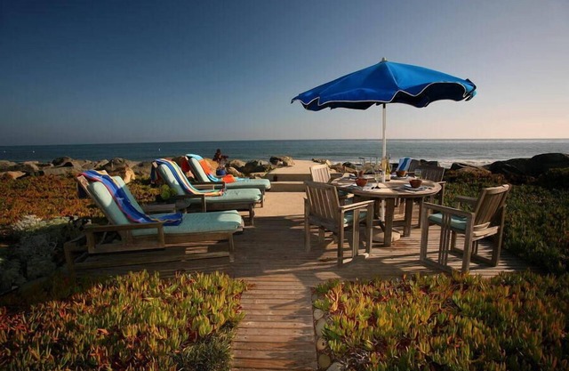 Driftwood Beach Retreat - Oceanfront Privacy