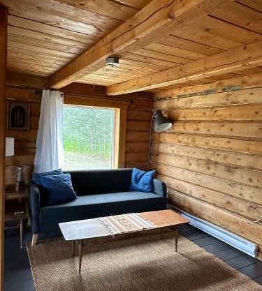 Dry Log Cabin with Mountain Views