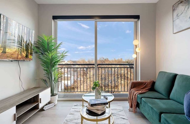 DT, UMN, 1BD, Gym, Free Parking, Rooftop by River