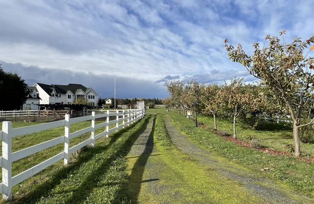 Dungeness Manor in the Heart of the Dungeness Valley