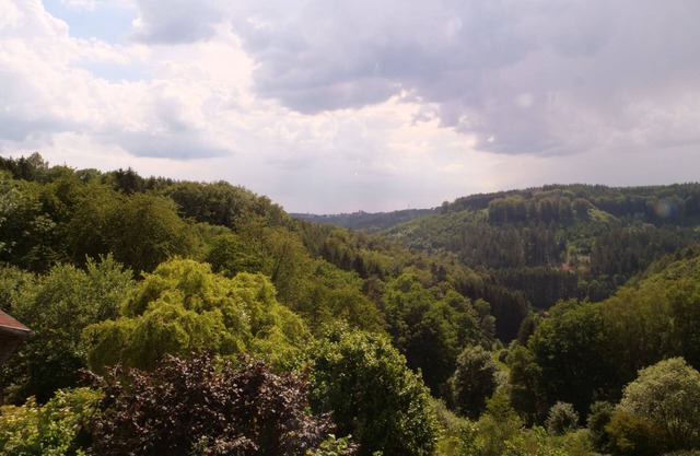 Duplex apartment, large terrace, Parc Naturel des Vosges du Nord