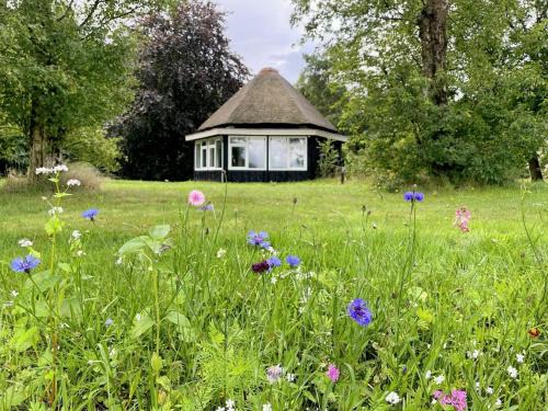 Eco Lodge Drenthe