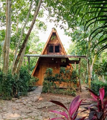 ECO-POR