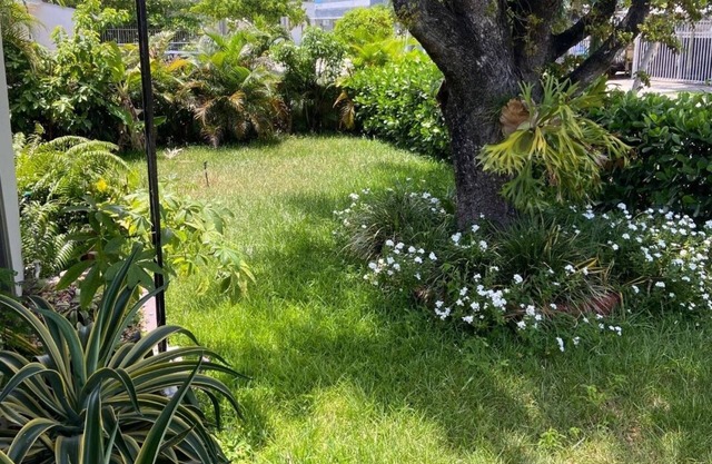 ECO SHARED GARDENIAN