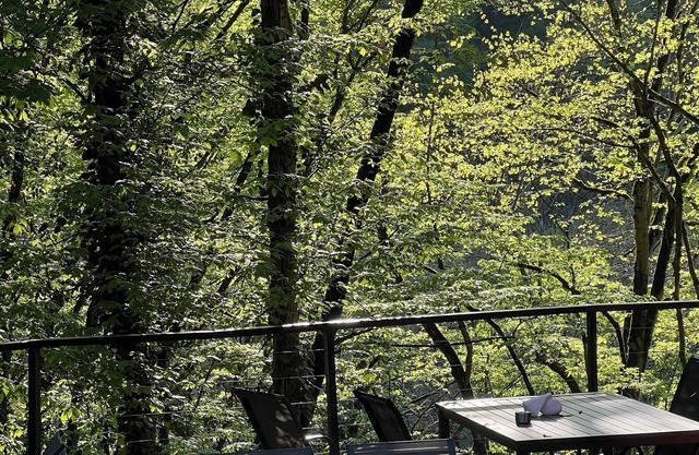 Eco village in the forest